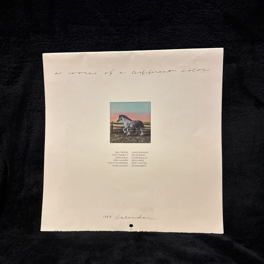 Vintage 1989 A Horse of a Different Color Calendar Ricky Nattiel Clements & Ass